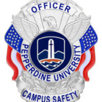 American Pride Badge view 4