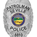 Eagle Top Badge 2-C10-2 view 1