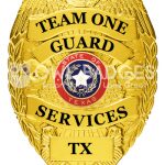 Eagle Top Badge Popular 2-C13-3 view 1