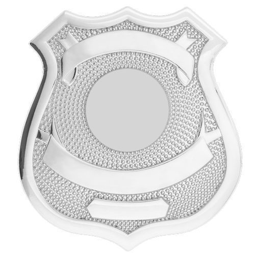 13-F19-Silver