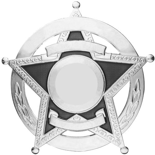 19-H15-Silver