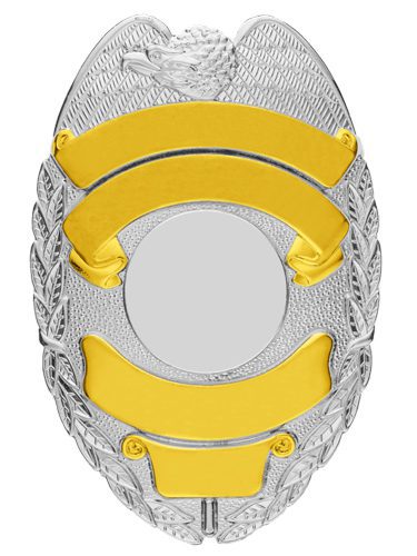 2-C10-3-Gold-on-Silver