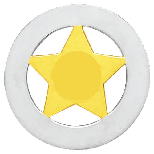 20-A16-2-Gold-on-Silver