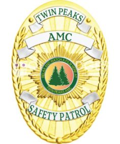 Oval Badge 8 Point Starburst 11 Police badge a gold badge with green and white text