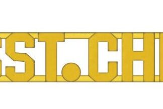 ASST CHIEF Collar Pin - Gold 1