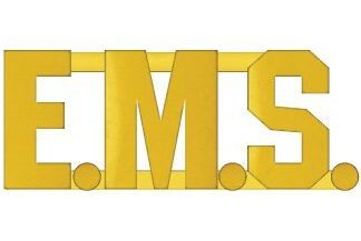 EMS Collar Pin - Gold 1