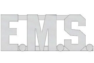 EMS Collar Pin - Silver 1