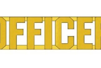 OFFICER Collar Pin - Gold 1