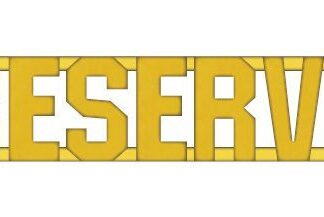 RESERVE Collar Pin - Gold 1