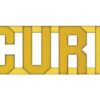 Security Gold Collar Pin