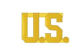 US Collar Pin - Gold 1
