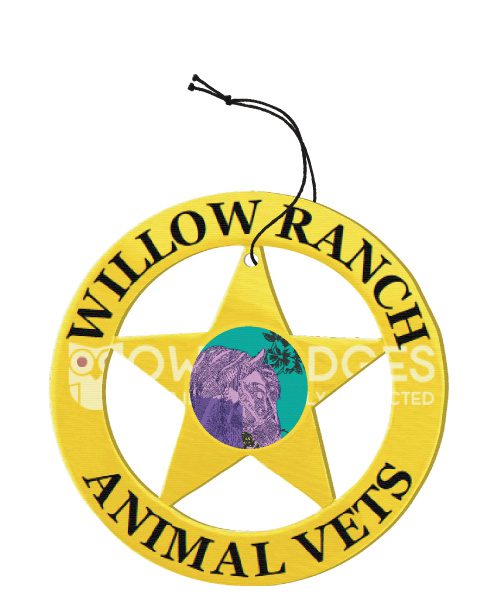 5 Point Star Air Freshener 20-A16-AF - round and stars - main view