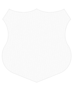 Sh1 a1 back mask