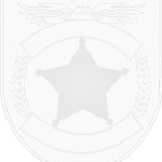 Sheriff Patch SH1B4 view 1