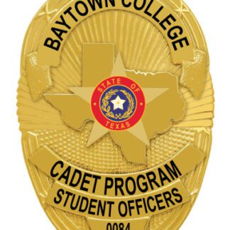 police officer gold badge with a star and a star on it