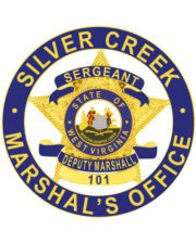 Deputy Marshal badge police badge a blue and gold badge with a star