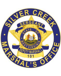 Deputy marshal badge police badge a blue and gold badge with a star