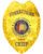 badge lapd Allen County Correctional Department corrections Gold Badge with a star. Style # 3-c118H14
