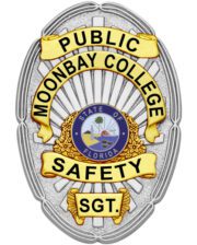 public safety badge silver badge with black text a close-up of a badge