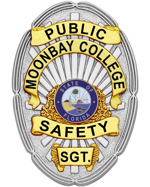 public safety badge silver badge with black text a close-up of a badge