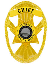 badge for police a gold badge with a star