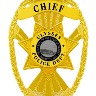 badge for police a gold badge with a star