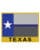 Texas-State-Flag-Patch