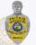 A custom metal badge in silver with gold panels featuring a detailed bust of Donald Trump at the top. The badge prominently displays "PRIVATE INVESTIGATOR" and "MARK-WALTERS CO." in yellow lettering, with the state seal of Indiana at the center. Below this, the number "884512" is clearly visible. This design showcases the unique combination of silver and gold elements in a custom metal badge with Donald Trump bust.