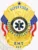 An intricately designed custom metal badge in gold color, displaying the words "EMERGENCY MEDICAL TECHNICIAN" and a safety pin attachment for reliable use by medical professionals.