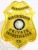 An artistic portrayal of a custom metal badge in gold color with a safety pin attachment, prominently featuring "DETECTIVE MARTIN BENSON." The badge showcases intricate details and the Texas state seal, illustrating its essential role for private investigators.