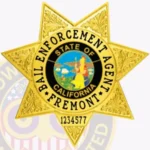 7 Point Star Bail Enforcement Agent Badge view 2