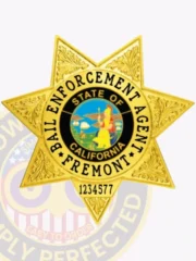 A detailed view of a custom metal badge in gold color, highlighting its ornate star shape and prominent central design that features the state emblem, featuring a reliable safety pin attachment for optimal security.