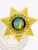 A detailed view of a custom metal badge in gold color, highlighting its ornate star shape and prominent central design that features the state emblem, featuring a reliable safety pin attachment for optimal security.