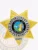 An elegant depiction of a custom metal badge in gold color, showcasing a five-pointed star shape adorned with intricate details, including a silver circle that features the wording “Bail Enforcement Agent” and “Fremont,” complete with a safety pin attachment for easy fastening.
