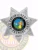 A detailed view of a custom metal badge in silver color, emphasizing its unique star shape and prominent central design that features the state emblem, designed with a practical safety pin attachment for dependable use on uniforms.
