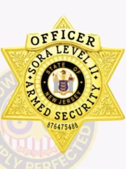 18-A1SA SORA Level 2 Armed Security Badge Gold Badge 6-Point Star