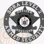 5 Point Star SORA Level 2 Badge view 5