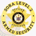 5 Point Star SORA Level 2 Badge view 1
