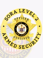 19-A1SA SORA Level 2 Armed Security Badge Gold Badges Star Badge in Circle Banner