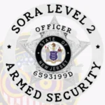 5 Point Star SORA Level 2 Badge view 2