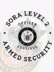 19-A1SA SORA Level 2 Armed Security Badge Silver Badges Star Badge in Circ;le