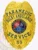 A polished custom metal badge in gold color displaying the complete title and emblem for emergency services, designed for easy display with a safety pin attachment for reliable use.