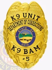 An eye-catching custom metal badge in gold color, designed as a shield with "K9 UNIT" and "DEPARTMENT OF CORRECTIONS" prominently displayed at the top. The central design illustrates the state seal of Ohio, complemented by "K9 BAM" and "#5," equipped with a safety pin attachment for secure wear.