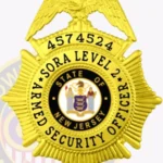 Eagle Top SORA Level 2 Badge view 2