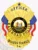 A striking custom metal badge in gold, shaped like a shield with detailed features. The badge prominently displays "OFFICER" at the top in bold lettering, followed by "RAILROAD POLICE" beneath it. In the center, the state seal of West Virginia is shown within a circular design, featuring two American flags and surrounded by a decorative eagle. Below the seal, "BOARDS TRANSIT" is inscribed, along with the number "34" at the bottom. The shiny gold finish of this custom metal badge in gold enhances its professional appearance, symbolizing pride and authority in law enforcement.
