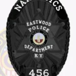 Sleek Oval Shield with 6 Point Star Center, Starburst Background, 6 Text Panels, Braid Border Badge view 4