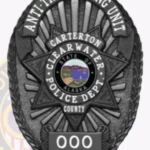 Traditional Oval Badge with 7 Point Star Center, 6 Text Panels, Sunburst Background, Cord Edge view 4