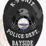 Sleek Oval Shield with Eagle Center, 2 Flags, 3 Ribbon Text Panels, Lined Border Badge view 4