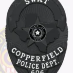 Oval Badge with Texas 5 Point Star Center, Sunburst Background, 4 Text Panels, Line Edge 11-D22TXPLB view 4