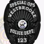 Professional Oval Badge Shield with Sunburst Background, Reef Center, 4 Text Panels, Lined Border view 4